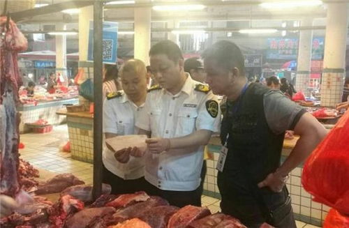 景洪市2018年食品小作坊經營安全監(jiān)管數(shù)據(jù)報告